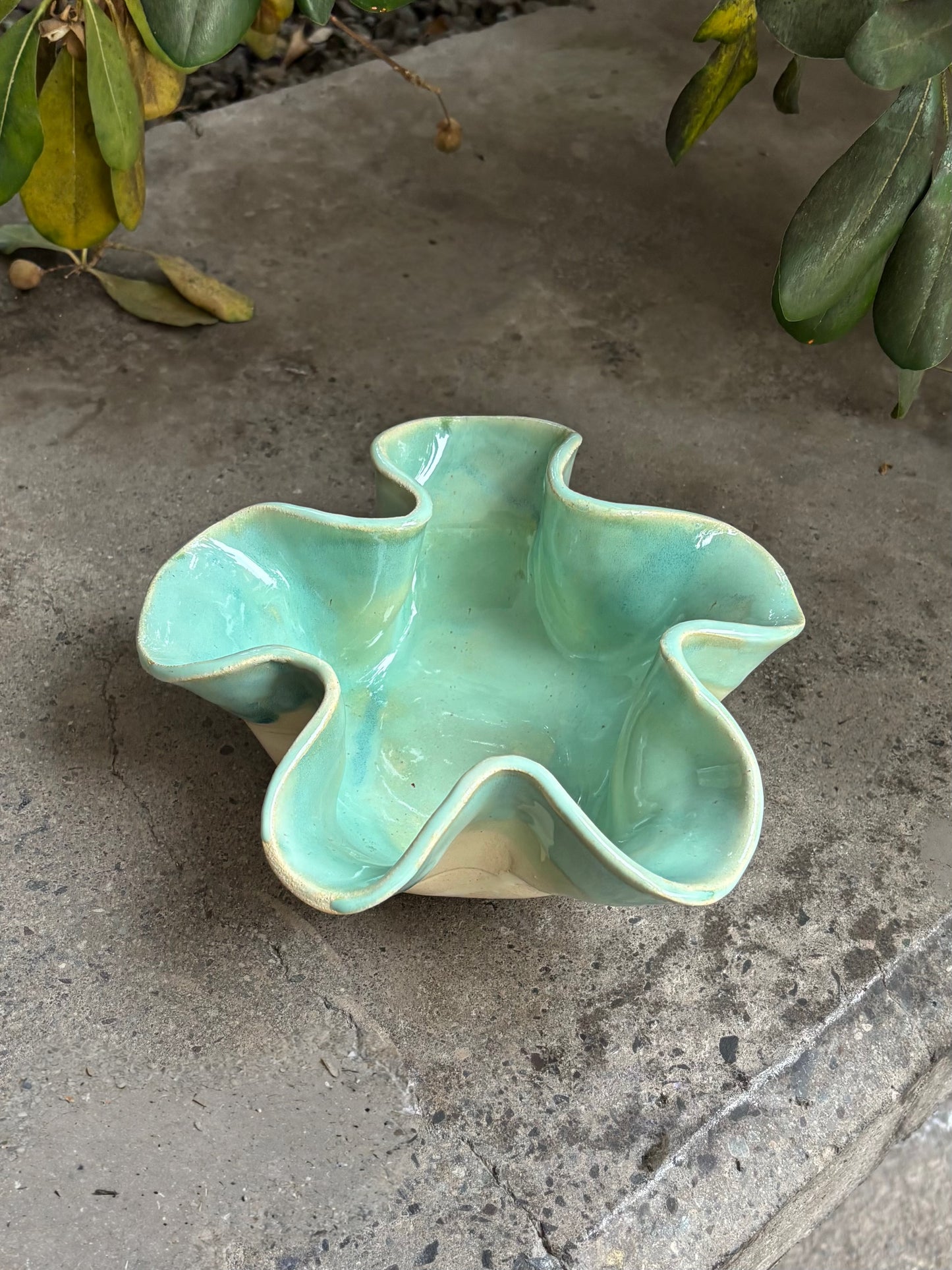 Fuente Ameba Celeste