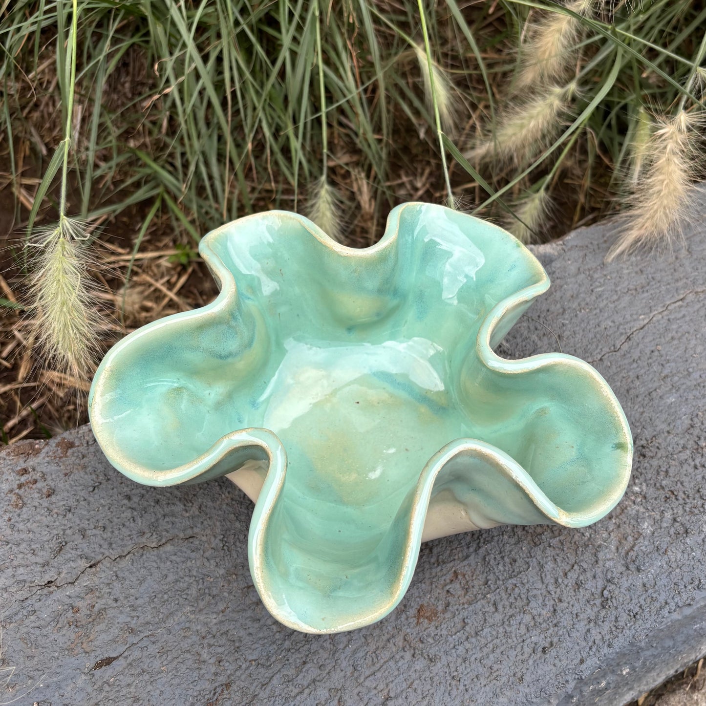 Fuente Ameba Celeste